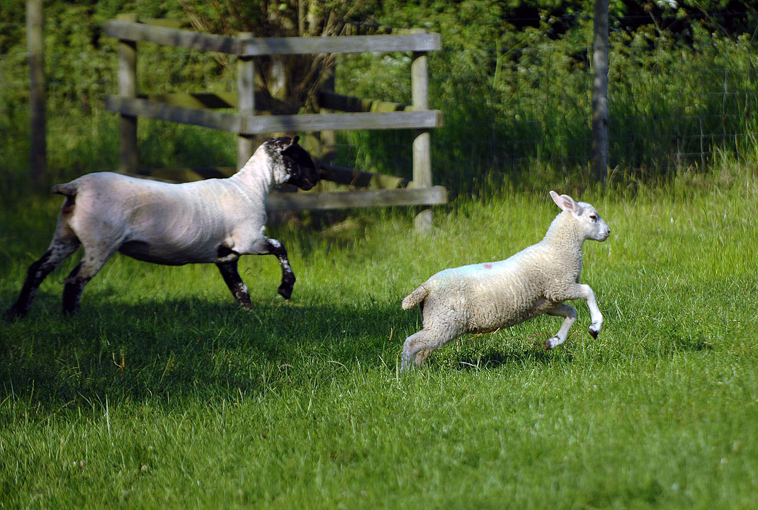 Large Luxury Houses to Rent for Easter
