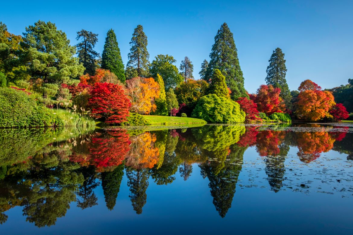 Large Luxury Houses To Rent In Staffordshire For 50th Birthday Parties