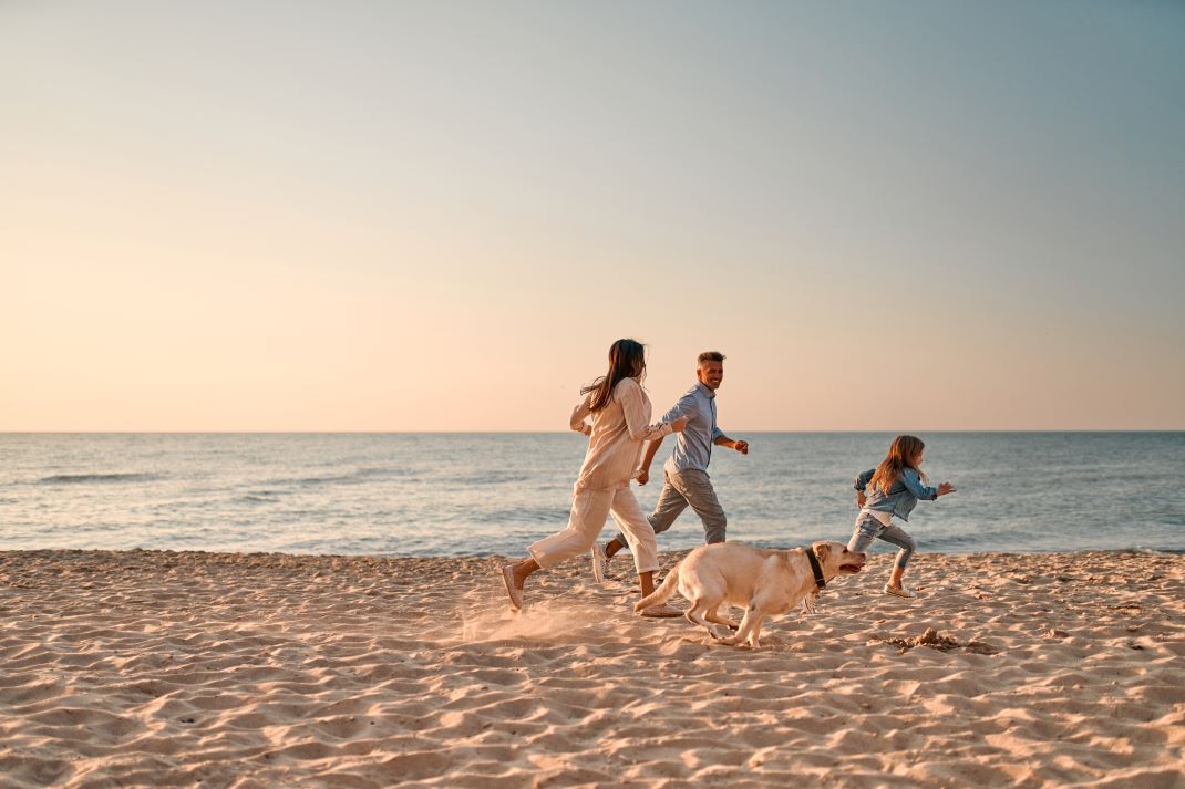 Dog-Friendly Large Luxury Houses To Rent in Cornwall