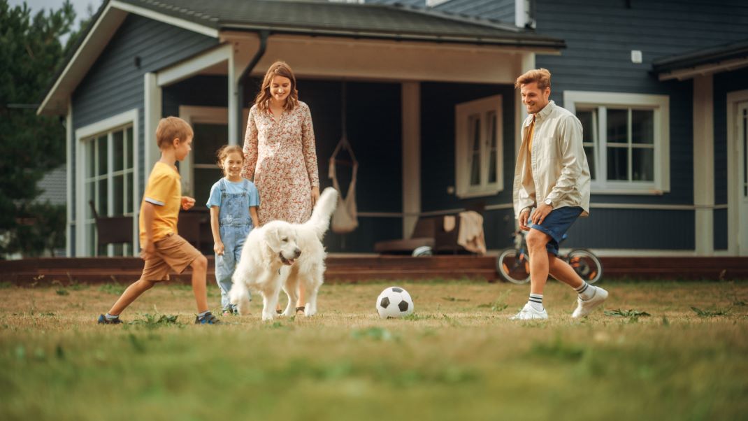 Dog-Friendly Large Luxury Houses To Rent in Shropshire