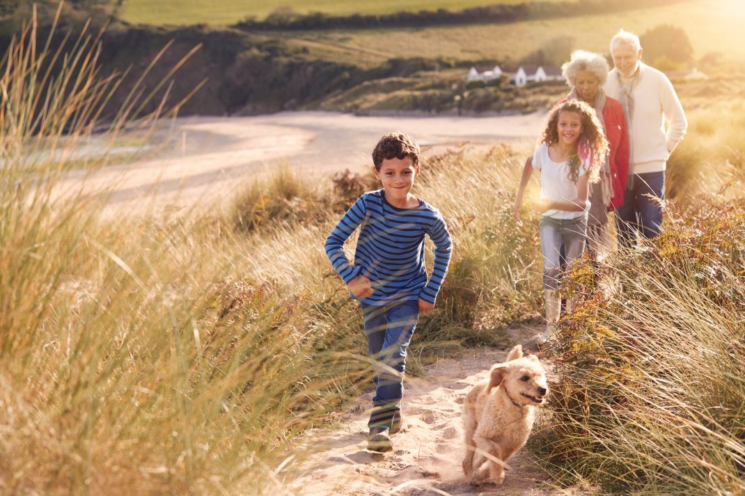 Luxury Houses to Rent for Groups of 30 or More That Are Dog-Friendly