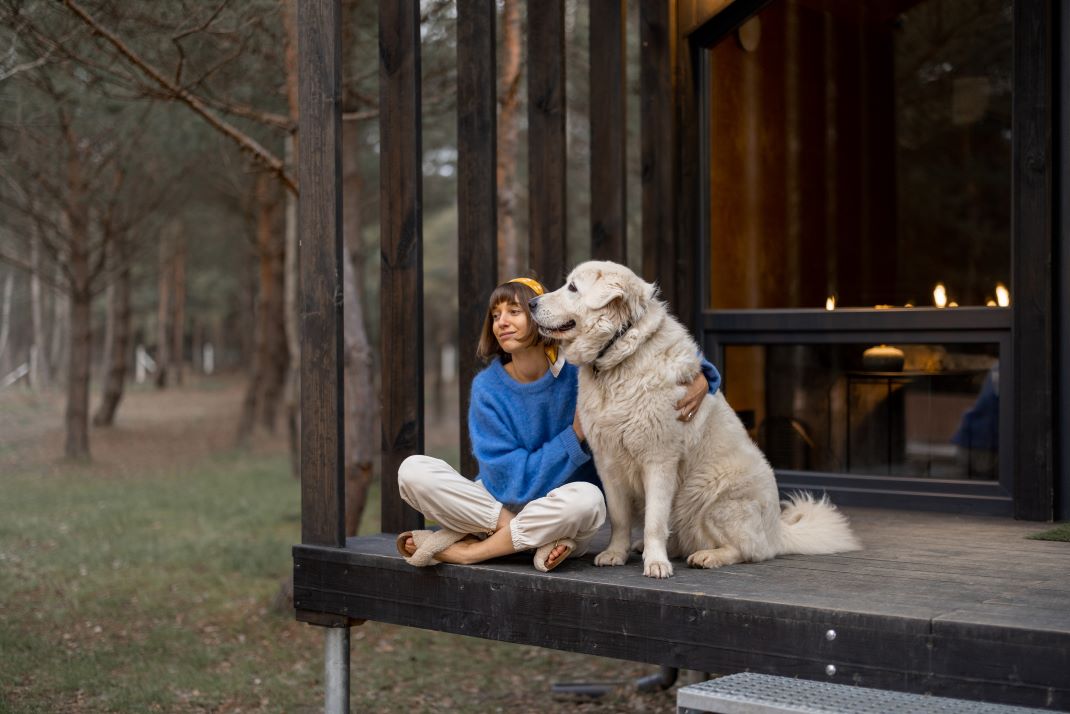 Dog-Friendly Large Luxury Houses To Rent in Suffolk