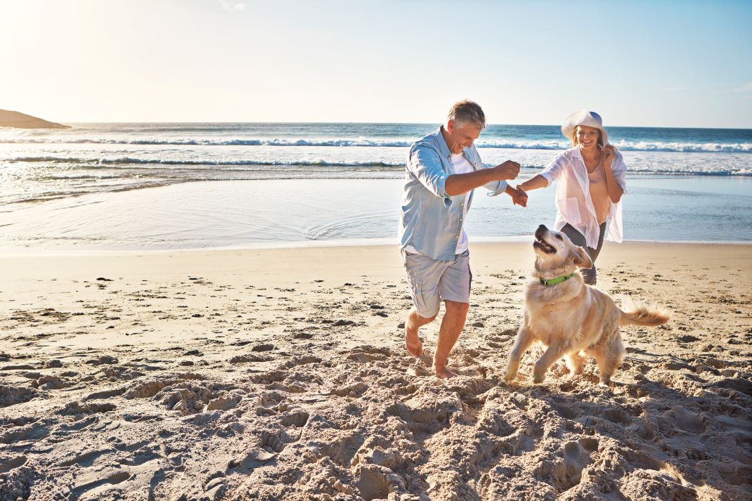 Dog-Friendly Large Luxury Houses To Rent in Gloucestershire