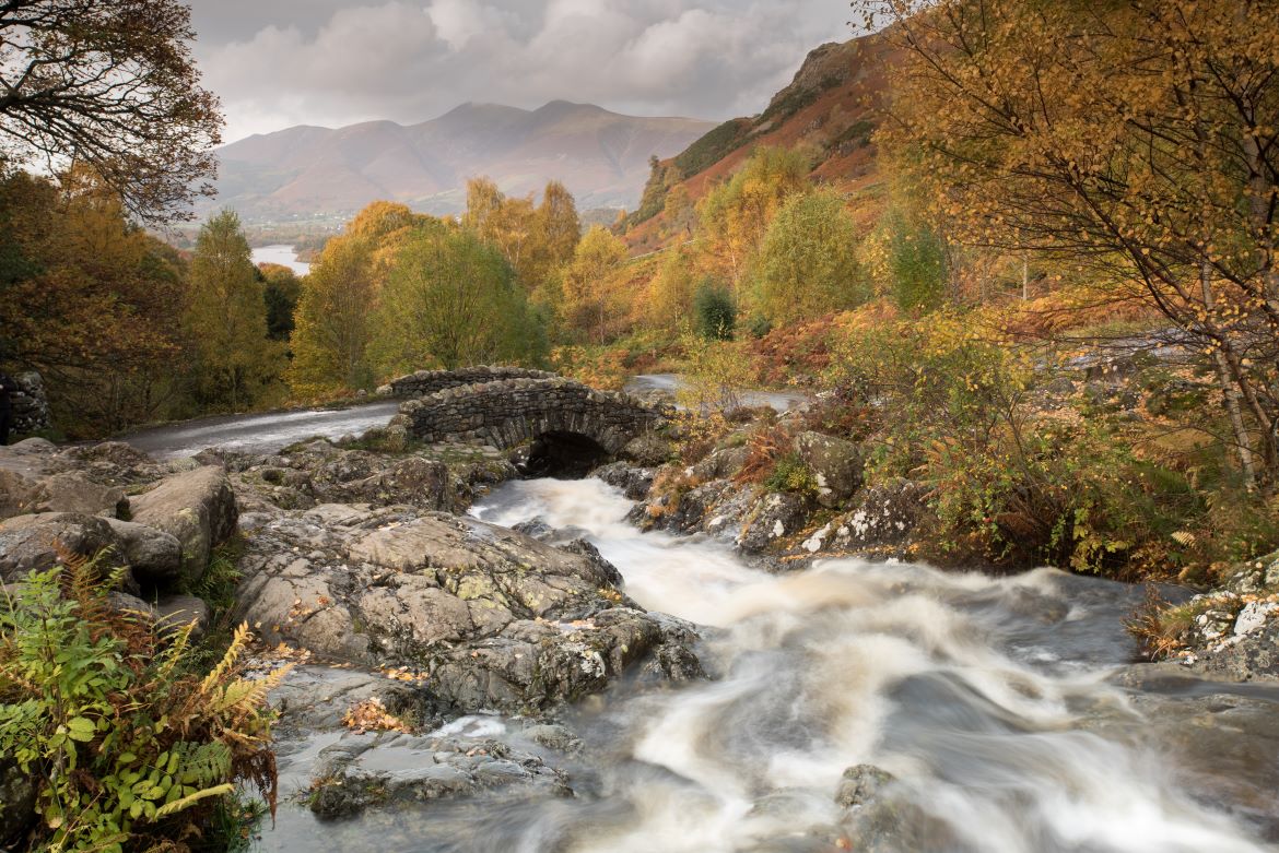 Large Party Houses To Rent In Cumbria