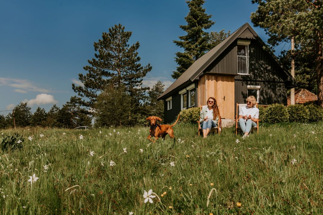 Dog-Friendly Large Luxury Houses To Rent in Cumbria